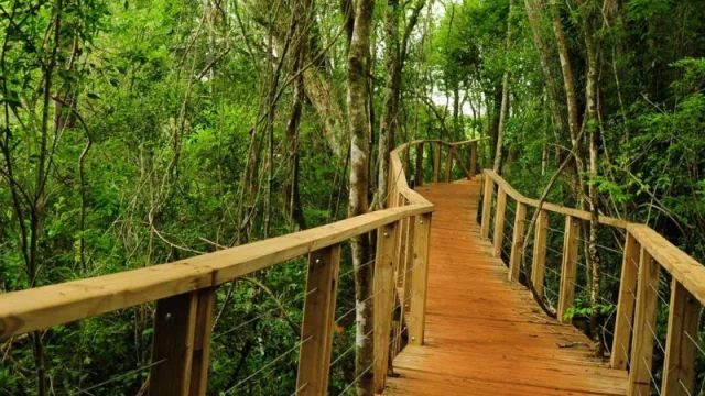 El impacto económico de la primer semana de vacaciones en Misiones superó los $ 680 millones 