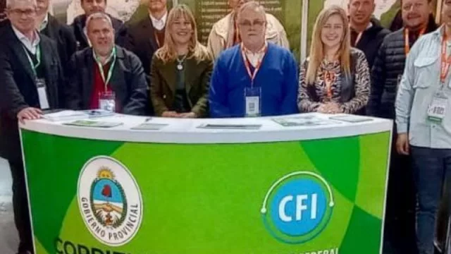 Las potencialidades de invertir en el sector forestoindustrial de Corrientes