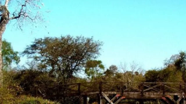 Lanzan "Concurso de Ideas" (para recuperar la Reserva Natural Caraguatá)