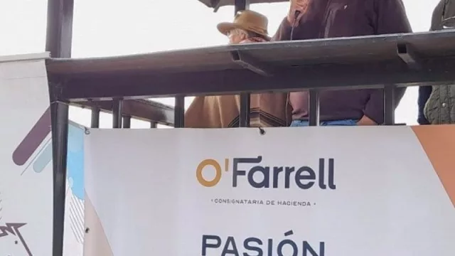 Récord en los Remates Ganaderos con 1.160 animales comercializados