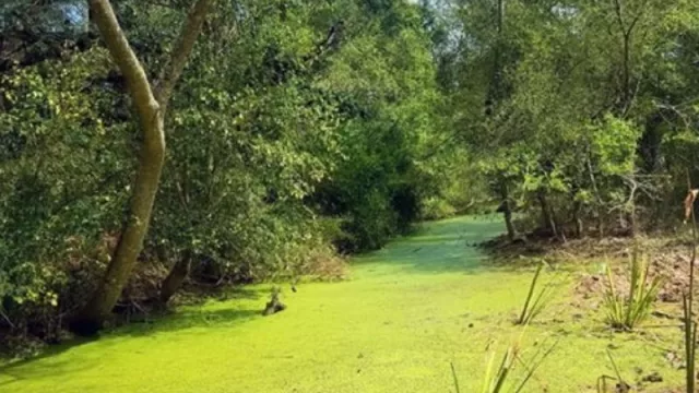 El Chaco reglamentó por decreto el Eco Token