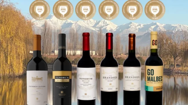 Bodega Vinorum obtuvo 6 medallas de oro en Brasil