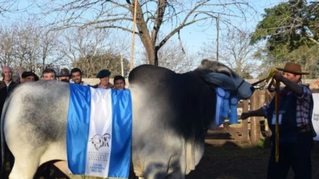 La Exposición Nacional de Razas presentó genética con futuro