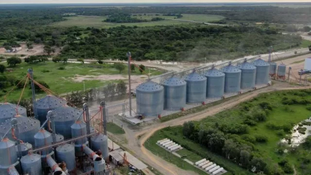 El exitoso modelo de empresa familiar chaqueña del Grupo Puerto Las Palmas