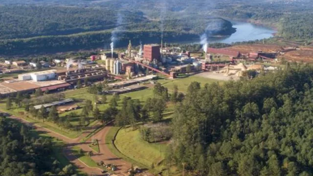 El BBVA otorgó una carta de crédito Standby sostenible a Arauco Argentina para generación de energía limpia