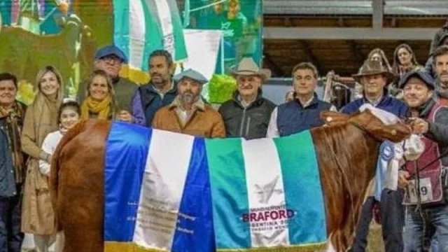 Histórico precio para la Gran Campeona Braford de la cabaña chaqueña San Carlos en el Mundial Braford 2022