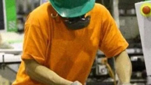 El sector privado alcanzó el mayor nivel de empleo en una década 