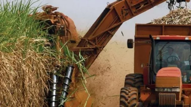 La EEAOC realizó un trabajo que muestra el estado madurativo de los cañaverales de Tucumán