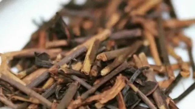 Misiones y la tendencia cada vez mayor del consumo de té gourmet