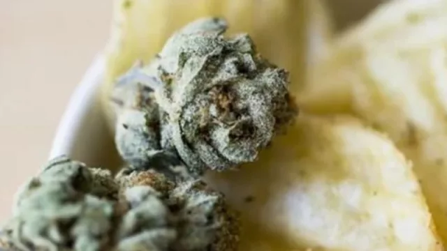 Corrientes desarrolla el primer snack con cannabis (con sabor a frutilla y mango)