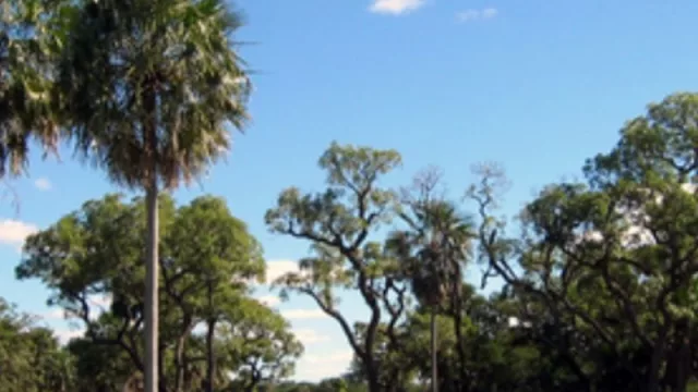 El Chaco junto al Banco Central abordan el marco regulatorio del Eco Token