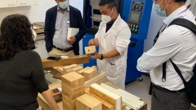 Posadas contará con un laboratorio de la madera para realizar tratamientos de resistencia y durabilidad 