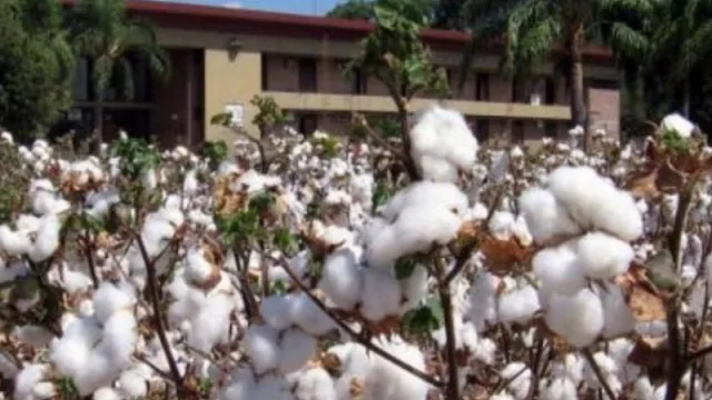 Jornada sobre innovaciones tecnológicas en el Norte Argentino