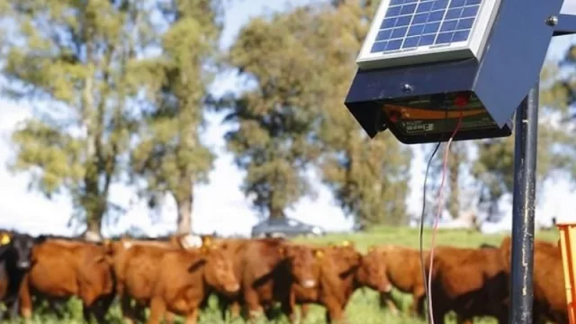 Iniciativas sustentables que mejoran la calidad de vida 