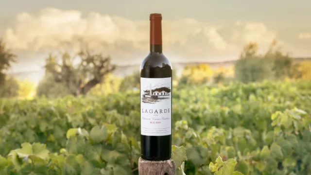 Lagarde sugiere cuatro vinos para brindar en el Día del Malbec