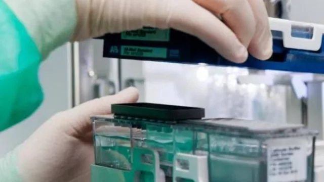 Misiones, la provincia del NEA que más invirtió en investigación y desarrollo 