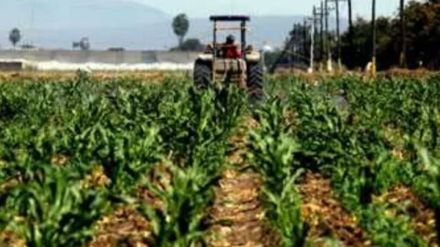 Argentina y Paraguay acuerdan cooperación bilateral para el desarrollo biotecnológico regional