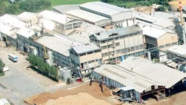 La firma Silvateam invertirá 10 millones de dólares en su planta de la Provincia del Chaco