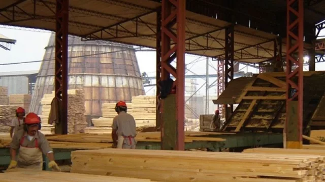Misiones a la vanguardia: la construcción de viviendas de madera llega a casi 6000 casas fabricadas en 2 años