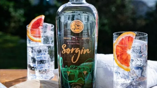 Alambic presenta Gin Sorgin y Vermouth Léonce Malbec