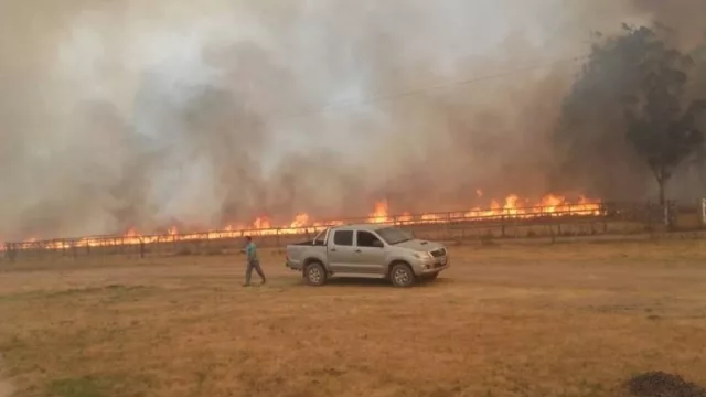 Productores correntinos calculan pérdidas de casi $ 70.000 millones por los incendios (en cadenas productivas de arroz, citricultura, forestación, yerba mate y ganadería)