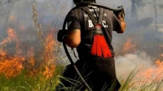 El gobierno de Corrientes decretó el estado de desastre agropecuario por los incendios rurales