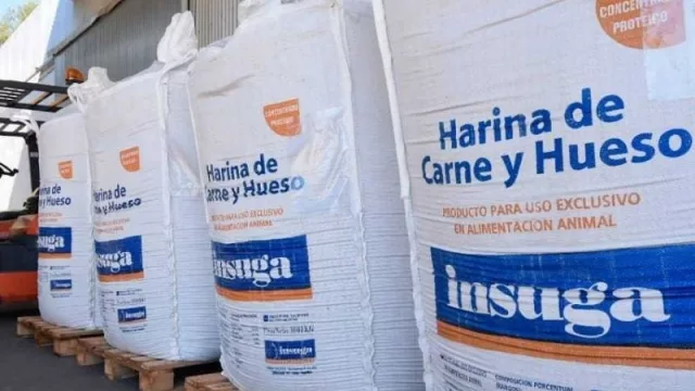 La empresa Insuga realizará la primera exportación de harina a Vietnam 
