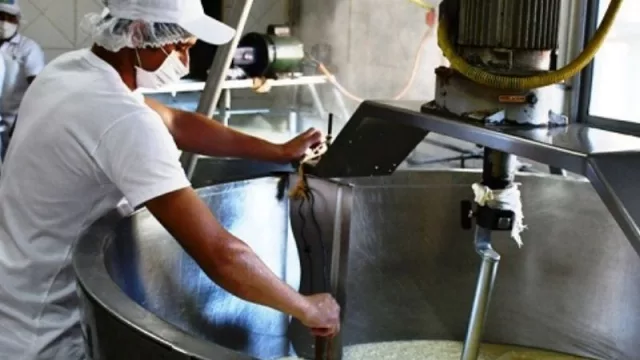 Preocupación en Misiones por la grave caída en la producción de leche (menos ventas y venta de animales)