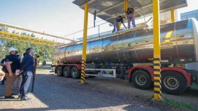 Insuga concretó la primera exportación del año de sebo bovino a Brasil (162 toneladas por US$ 181.404)