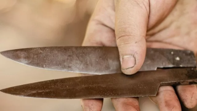 Artesanos del Iberá culminan un 2021 con balance altamente positivo (se estiman $ 10 millones en ventas)