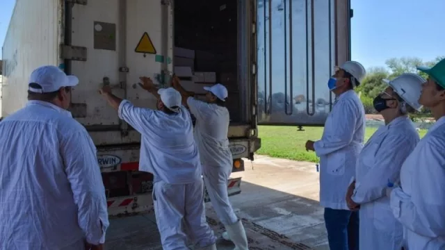 De El Impenetrable a Kuwait: Chaco embarcó un nuevo contenedor con carne caprina de exportación