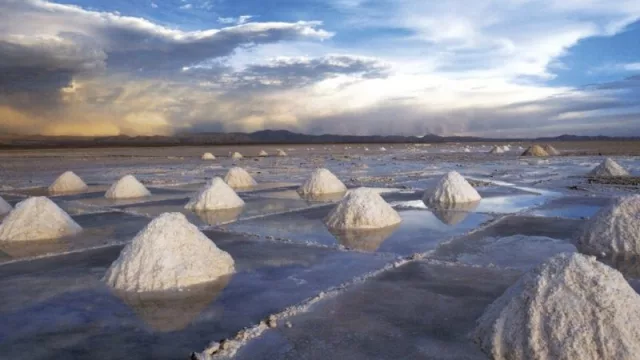 Unipar se suma y apuesta al litio para su expansión en la Argentina