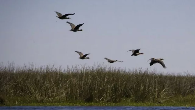 Gran convocatoria del sector privado en el “Workshop Corrientes 2021” 