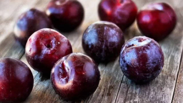 Ciruela industrial: un congreso internacional se posiciona como una gran oportunidad 