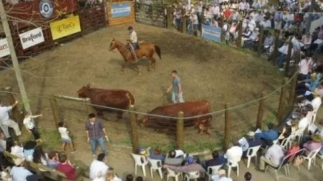 Corrientes se prepara para recibir lo mejor de la genética bovina (en la Exposición Nacional de Razas)