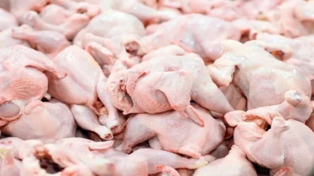 recen ingresos por exportación de carne de pollo (Rusia y Angola, los principales destinos)