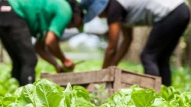 Gran expectativa por el Segundo Congreso Argentino de Agroecología que se realizará en Chaco