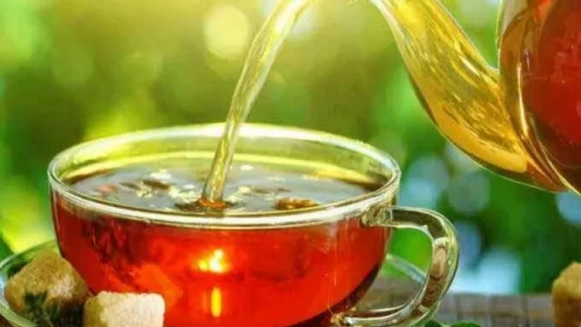 Misiones produce el 90% del té que la Argentina elabora y exporta