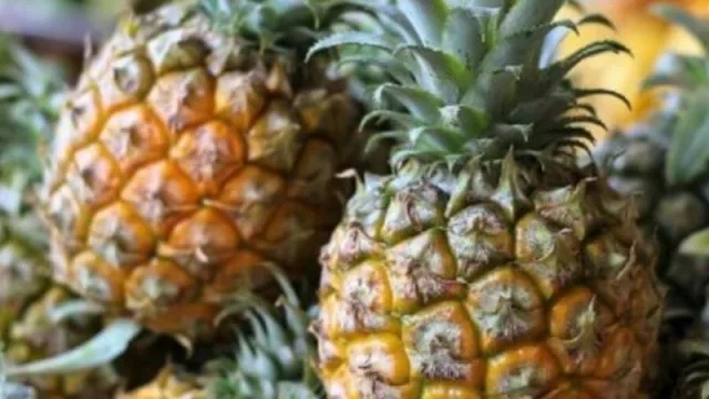 En Misiones se pondrá en marcha una planta de procesamiento que aprovechará las frutas de segunda