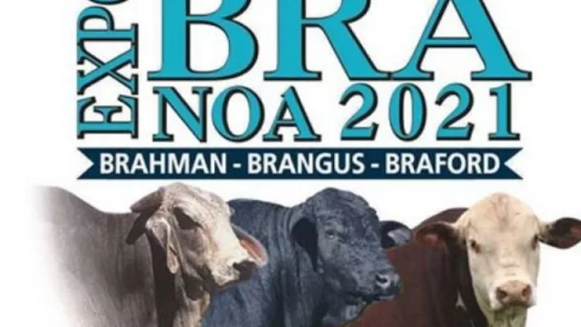 Buenas condiciones comerciales en ExpoBRA (financiación y plazos)