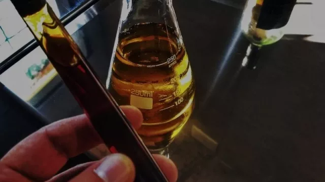 Buscan impulsar la producción de Hidromiel en Misiones