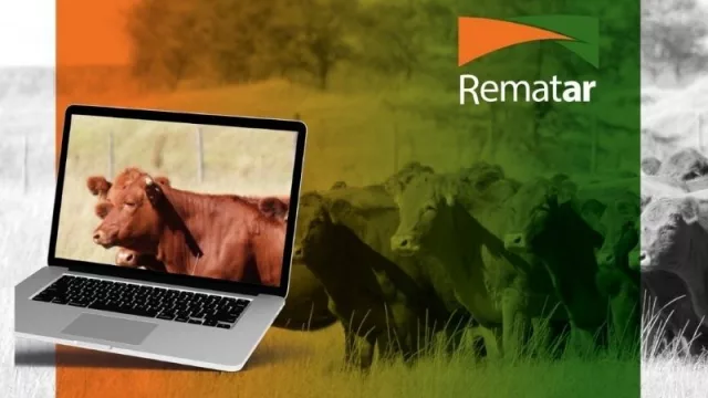 ¿Quién da más? Llega una nueva subasta del Rosgan a Rematar