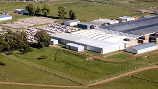 TN & Platex, una industria textil líder en Sudamérica que invierte en Corrientes (US$ 20 millones y 500 nuevos empleos)