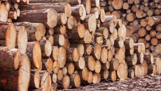 La empresa Impregnados del Norte se instala definitivamente en la provincia del Chaco  