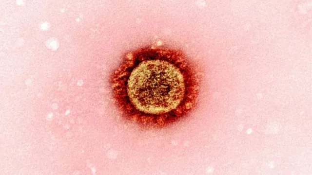 Desde hace 13 semanas argentina registra un descenso sostenido de casos de covid-19