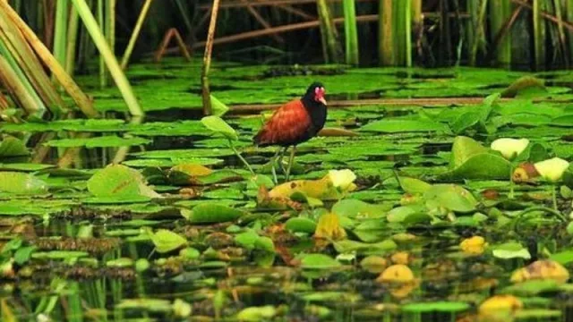 Corrientes representó al Litoral en la reunión de presidentes de regiones turísticas del país