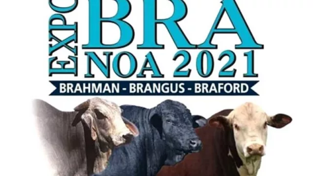 Se viene una nueva edición de Expobra en Santiago del Estero