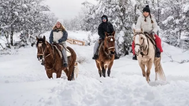 Burpa, la plataforma de experiencia turísticas en la Patagonia 