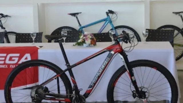 La fábrica de bicicletas Lopez Hermanos invertirá $ 500 millones para la ampliación de su planta