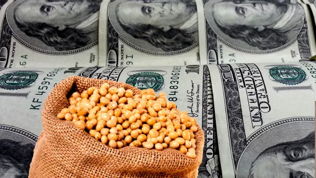 La liquidación de divisas acumuló a mayo u$s 13.300 millones y es récord absoluto